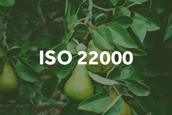 iso-22000-food-safety