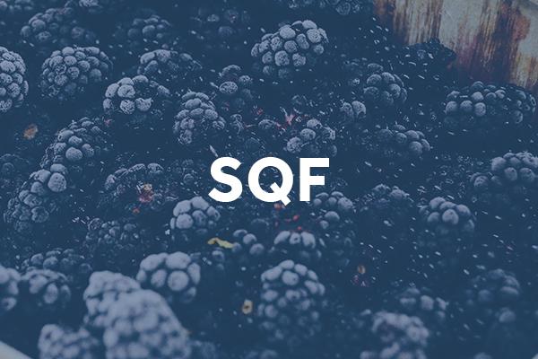 sqf (1)